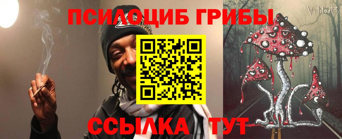 закладка  Псилоцибиновые грибы Cubensis  Вход с VPN  Сочи 